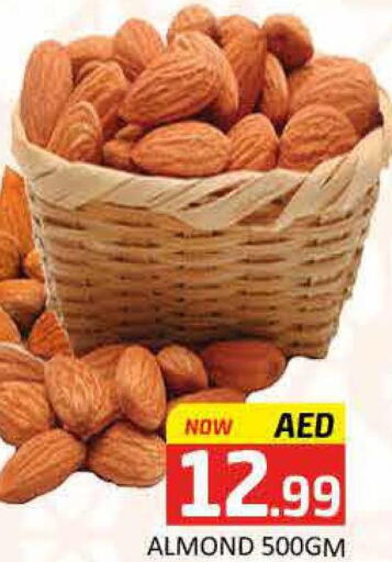  in Mango Hypermarket LLC in UAE - Dubai