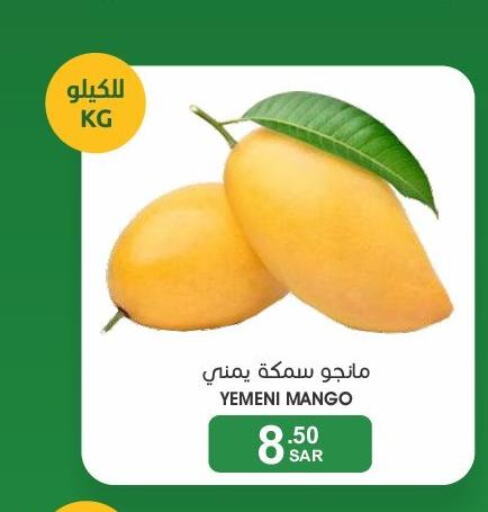 Mango   in  مـزايــا in مملكة العربية السعودية, السعودية, سعودية - سيهات