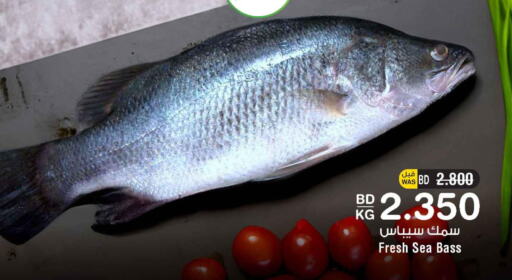  King Fish  in أسواق الحلي in البحرين