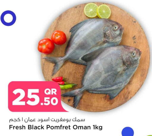  King Fish  in Safari Hypermarket in Qatar - Al Shamal
