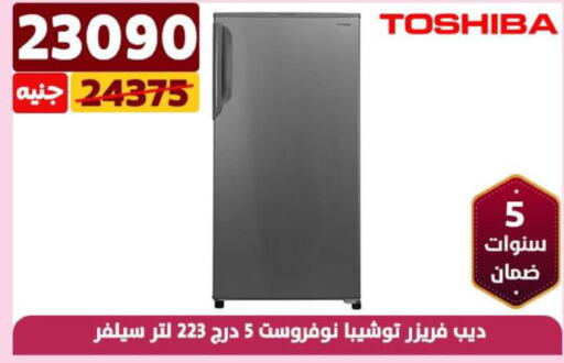 TOSHIBA Freezer  in Shaheen Center in Egypt - Cairo
