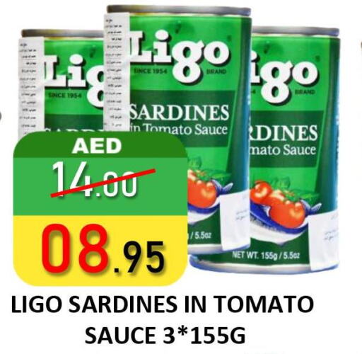  Sardines - Canned  in رويال جلف هايبرماركت in الإمارات العربية المتحدة , الامارات - أبو ظبي
