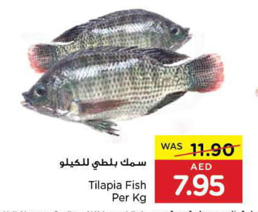  King Fish  in جمعية العين التعاونية in الإمارات العربية المتحدة , الامارات - ٱلْعَيْن‎