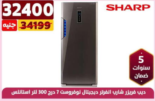 SHARP Freezer  in Shaheen Center in Egypt - Cairo