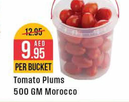  Tomato  in ويست زون سوبرماركت in الإمارات العربية المتحدة , الامارات - دبي
