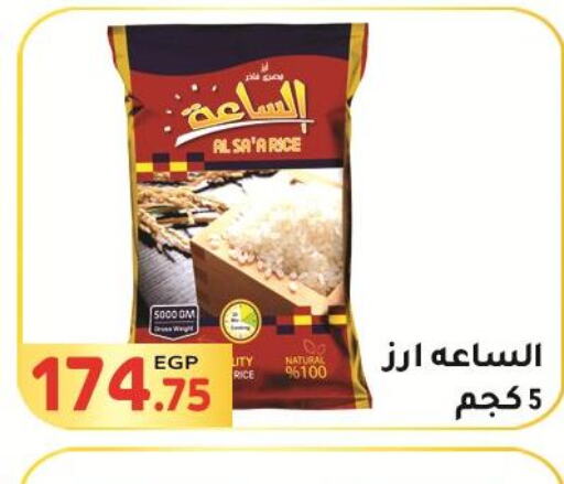  Basmati / Biryani Rice  in المحلاوي ماركت in Egypt - القاهرة