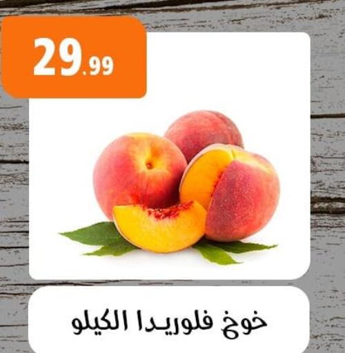  Peach  in أولاد المحاوى in Egypt - القاهرة