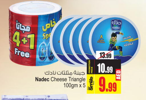 NADEC Triangle Cheese  in أنصار جاليري in الإمارات العربية المتحدة , الامارات - دبي