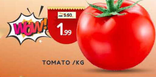  Tomato  in مدهور سوبرماركت in الإمارات العربية المتحدة , الامارات - الشارقة / عجمان
