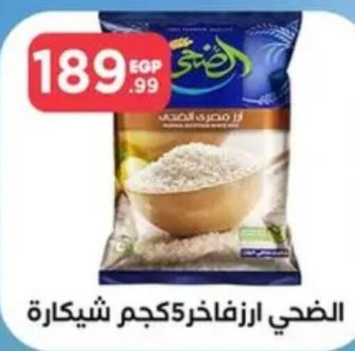  Basmati / Biryani Rice  in المحلاوي ستورز in Egypt - القاهرة