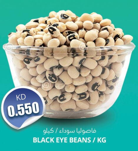 AMERICANA Fava Beans  in 4 سيفمارت in الكويت - مدينة الكويت