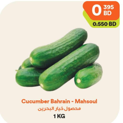  Cucumber  in طلبات مارت in البحرين