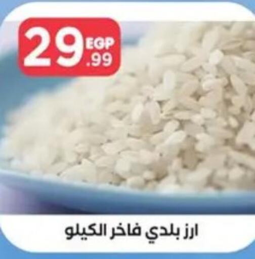 HALEY Egyptian / Calrose Rice  in المحلاوي ستورز in Egypt - القاهرة