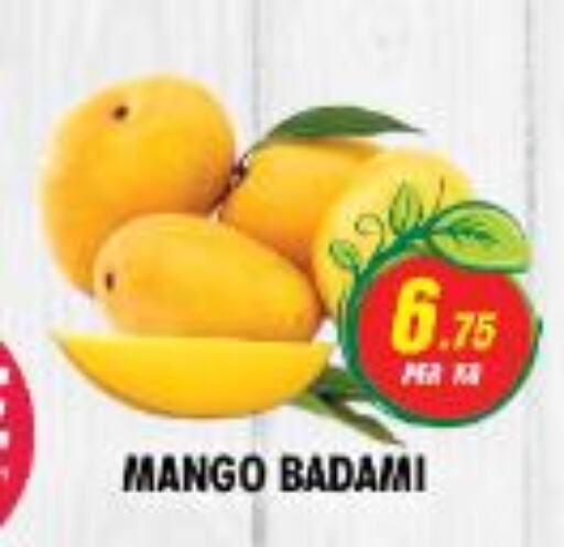 Mango   in NIGHT TO NIGHT DEPARTMENT STORE in UAE - Sharjah / Ajman