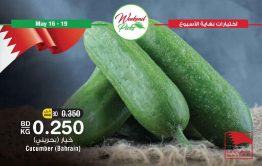  Cucumber  in أسواق الحلي in البحرين