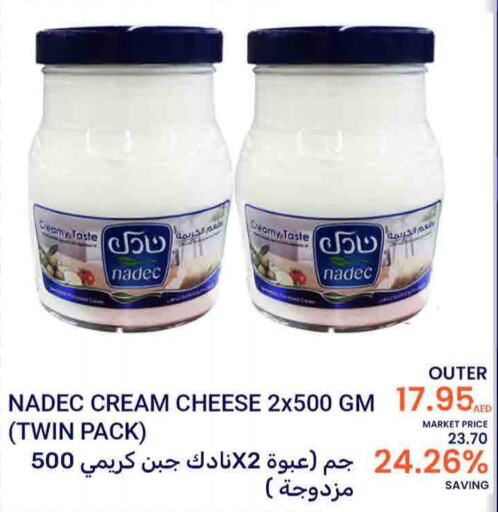 NADEC Cream Cheese  in بسمي بالجملة in الإمارات العربية المتحدة , الامارات - دبي