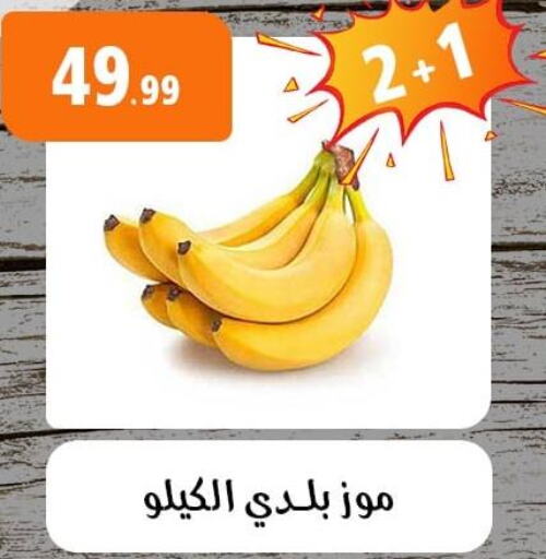  Banana  in أولاد المحاوى in Egypt - القاهرة