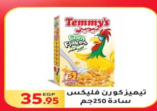 TEMMYS Corn Flakes  in El Mahallawy Market  in Egypt - Cairo
