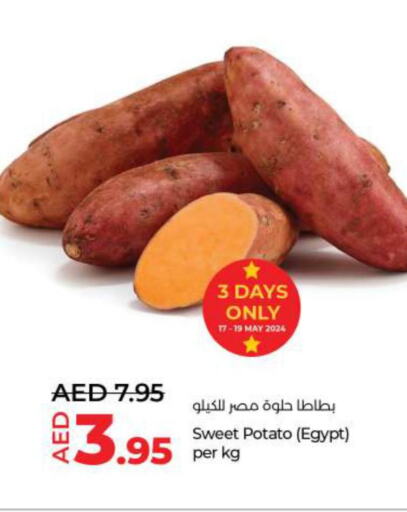  Sweet Potato  in لولو هايبرماركت in الإمارات العربية المتحدة , الامارات - أم القيوين‎