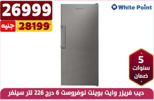 WHITE POINT Freezer  in Shaheen Center in Egypt - Cairo