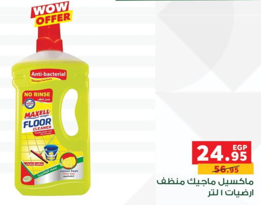  General Cleaner  in Panda  in Egypt - Cairo