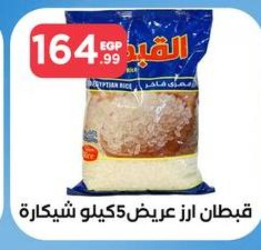 HALEY Egyptian / Calrose Rice  in مارت فيل in Egypt - القاهرة