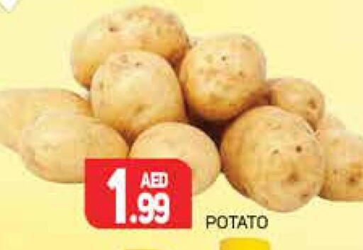  Potato  in Palm Centre LLC in UAE - Sharjah / Ajman