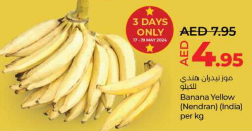  Banana  in لولو هايبرماركت in الإمارات العربية المتحدة , الامارات - الشارقة / عجمان