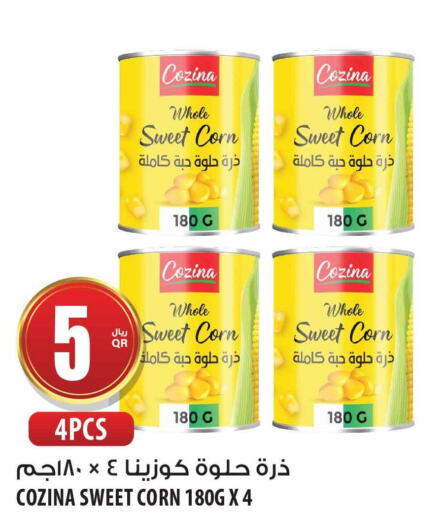 AL ALALI Tuna - Canned  in شركة الميرة للمواد الاستهلاكية in قطر - الضعاين