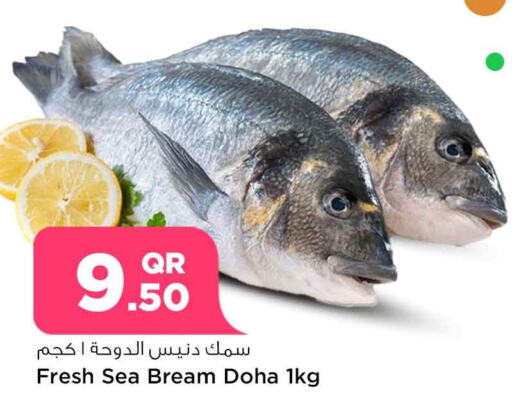  King Fish  in Safari Hypermarket in Qatar - Al Shamal