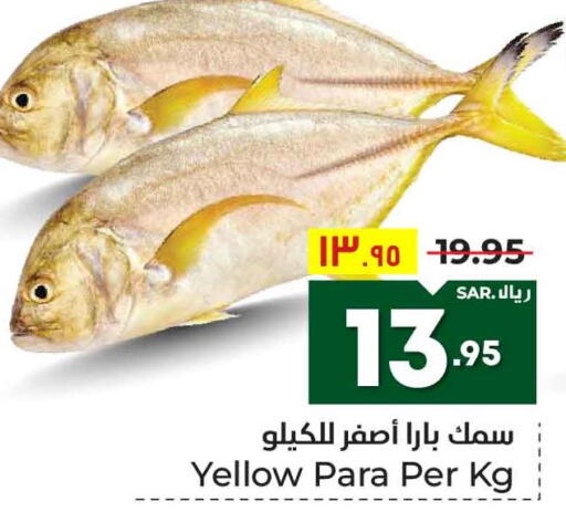  King Fish  in هايبر الوفاء in مملكة العربية السعودية, السعودية, سعودية - الطائف