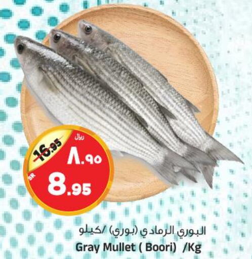  Tuna  in Al Madina Hypermarket in KSA, Saudi Arabia, Saudi - Riyadh