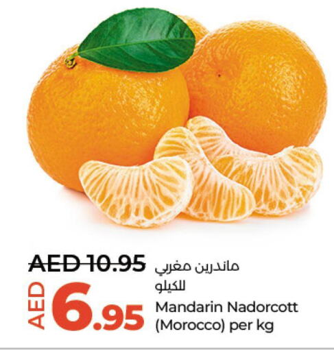  Orange  in لولو هايبرماركت in الإمارات العربية المتحدة , الامارات - ٱلْعَيْن‎