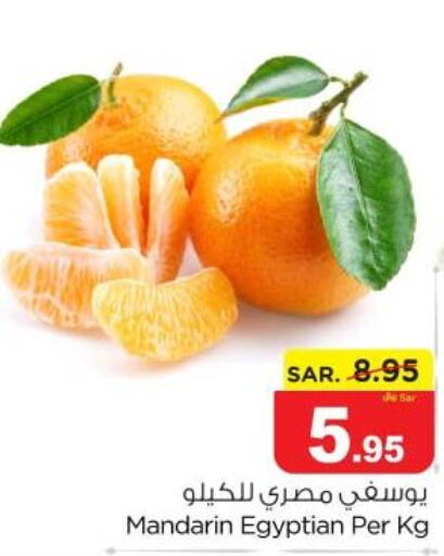  Orange  in نستو in مملكة العربية السعودية, السعودية, سعودية - بريدة