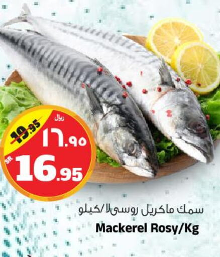  Tuna  in Al Madina Hypermarket in KSA, Saudi Arabia, Saudi - Riyadh