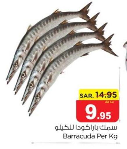  King Fish  in نستو in مملكة العربية السعودية, السعودية, سعودية - بريدة