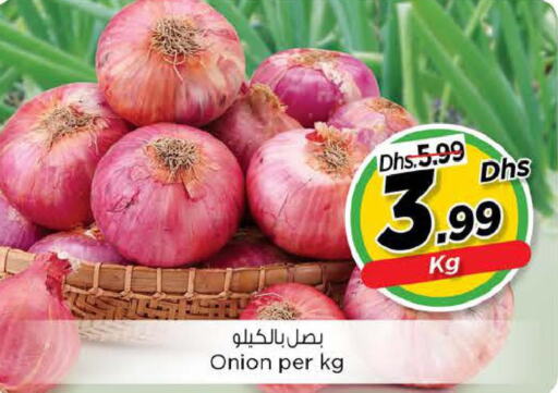  Onion  in لاست تشانس in الإمارات العربية المتحدة , الامارات - الشارقة / عجمان