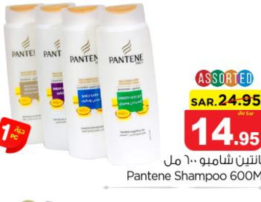PANTENE Shampoo / Conditioner  in نستو in مملكة العربية السعودية, السعودية, سعودية - الخرج