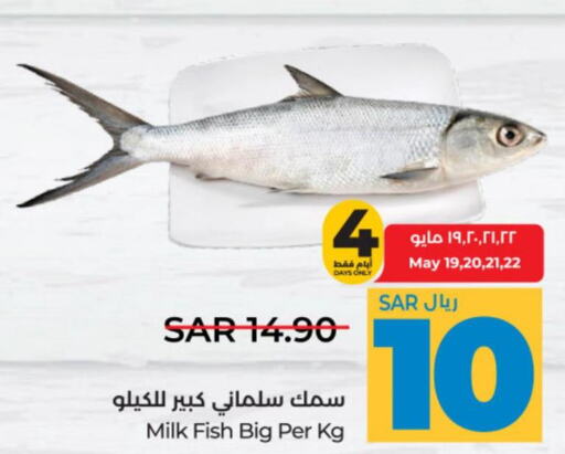  King Fish  in لولو هايبرماركت in مملكة العربية السعودية, السعودية, سعودية - الخرج