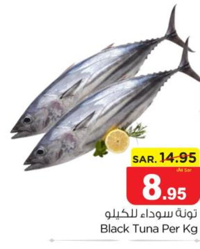  Tuna  in Nesto in KSA, Saudi Arabia, Saudi - Riyadh