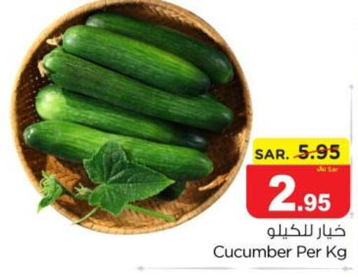  Cucumber  in Nesto in KSA, Saudi Arabia, Saudi - Al Majmaah