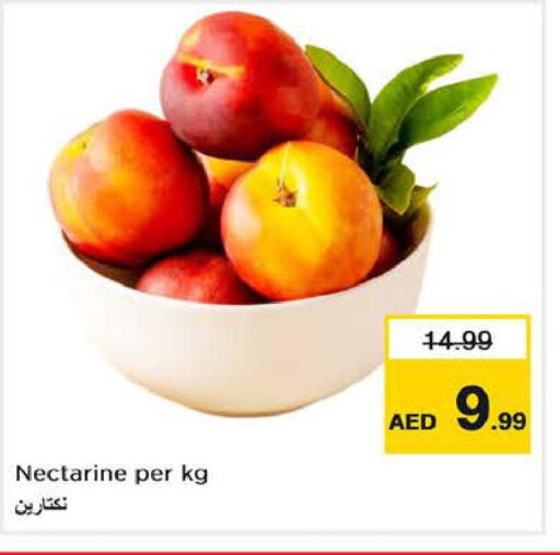  Dragon fruits  in لاست تشانس in الإمارات العربية المتحدة , الامارات - ٱلْفُجَيْرَة‎
