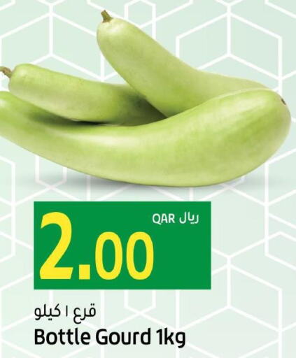  Gourd  in جلف فود سنتر in قطر - أم صلال