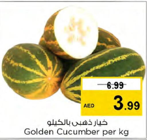  Cucumber  in نستو هايبرماركت in الإمارات العربية المتحدة , الامارات - الشارقة / عجمان