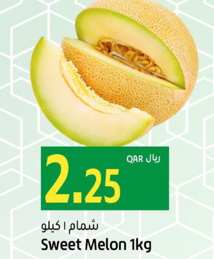  Sweet melon  in Gulf Food Center in Qatar - Al Daayen