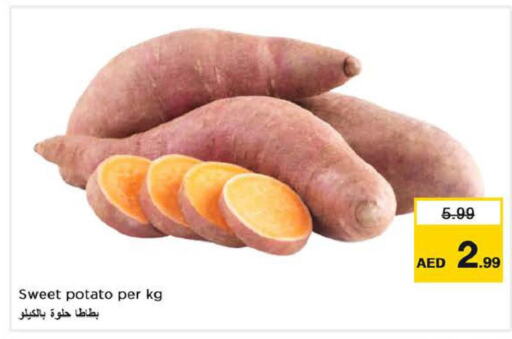  Sweet Potato  in Last Chance  in UAE - Fujairah