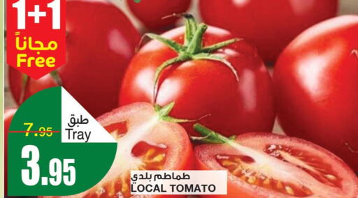  Tomato  in سـبـار in مملكة العربية السعودية, السعودية, سعودية - الرياض