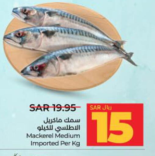  King Fish  in لولو هايبرماركت in مملكة العربية السعودية, السعودية, سعودية - تبوك