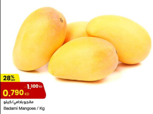 Mango   in مركز سلطان in الكويت - مدينة الكويت