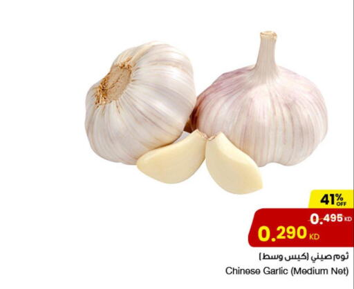  Garlic  in مركز سلطان in الكويت - مدينة الكويت